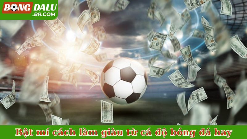 Bật mí cách làm giàu từ cá độ bóng đá hay