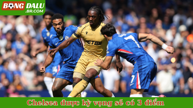 Chelsea được kỳ vọng sẽ có 3 điểm ngay trên sân khách